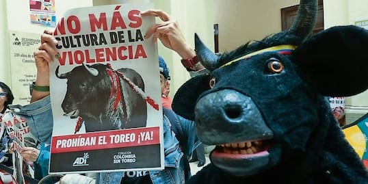 Al grito de "¡No más olé!", Petro sanciona ley que prohíbe corridas de toros