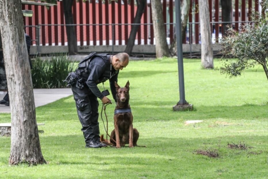 Thor, un perrito antibombas en la Cámara de Diputados