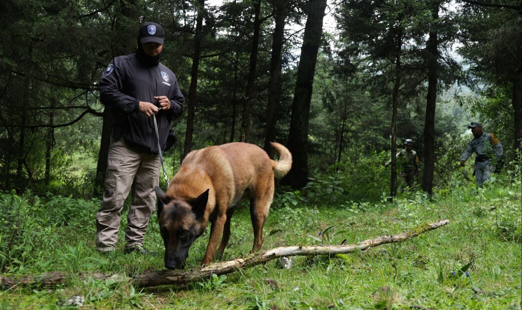 La señora Vanesa, mamá de Amelí, encabezó la búsqueda de su hija en el Pico del Águila; estuvo acompañada por elementos de la Sedena, Guardia Nacional, SSC y activistas, el viernes 25 de julio de 2025. Foto: Varlos Mejía/EL UNIVERSAL