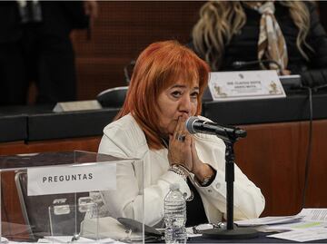 Morena y aliados acuerdan apoyar reelección de Rosario Piedra en CNDH; “es una decisión de Estado”, dicen
