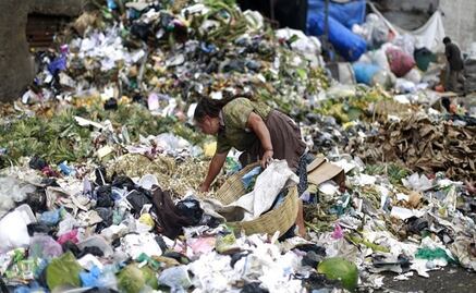 Denuncian desperdicio de toneladas de alimentos al día en AL y el Caribe