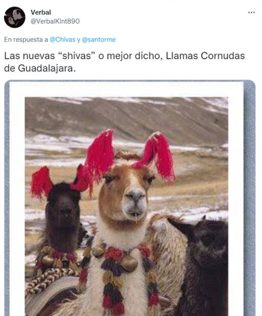 Los mejores memes que dejó la llegada de Santiago Ormeño a Chivas