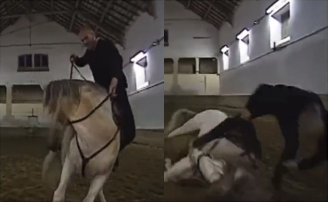 VIDEO: Zinedine Zidane sufre caída de un caballo, pero se lució con una acrobacia / FOTO: ESPECIAL