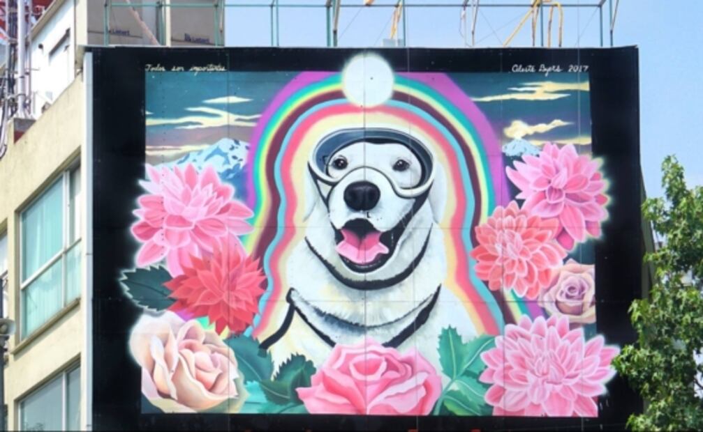 Frida: “símbolo de esperanza e inspiración”; así fue la vida de la perrita rescatista