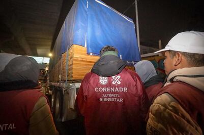 Gobierno de CDMX continúa operativos contra la tala ilegal en Tlalpan; decomisan varios metros cúbicos de madera ilegal