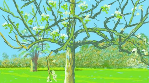 Hockney ofrece un respiro a la pandemia con arte dibujado en su tableta