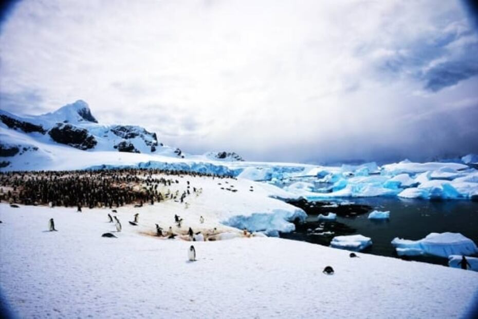 ¿Cómo es un viaje a la Antártida? Entre pingüinos y icebergs