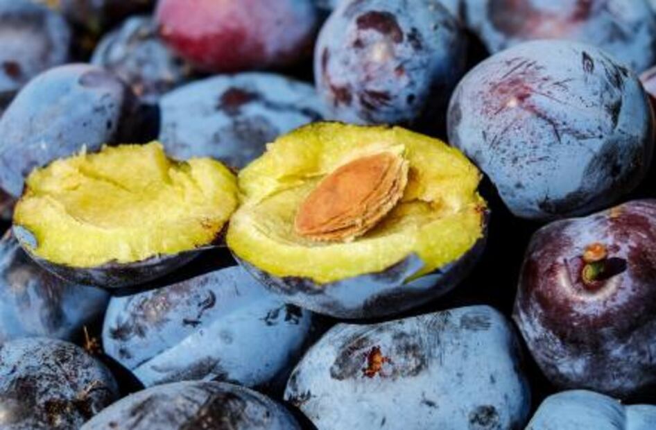 7 alimentos que eliminan el estreñimiento