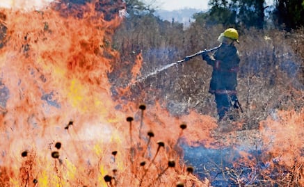 Mexico registers 30 wildfires in 5 states