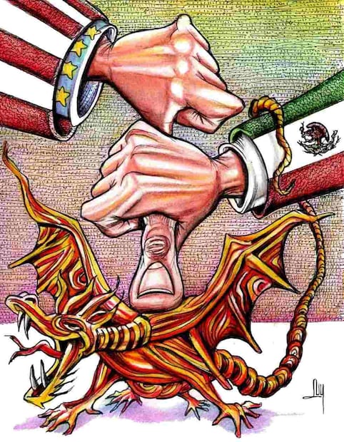 Cartón de LUY