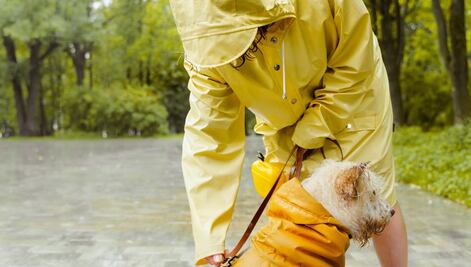 Se prevé calor, lluvia y hasta granizo para este Sábado de gloria en la CDMX