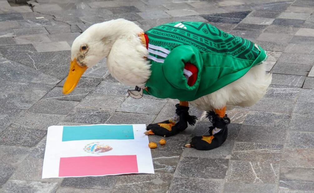 El Pato Merlín y su familia transitan por la Alameda Central. Foto: Karla Guerrero/ EL UNIVERSAL