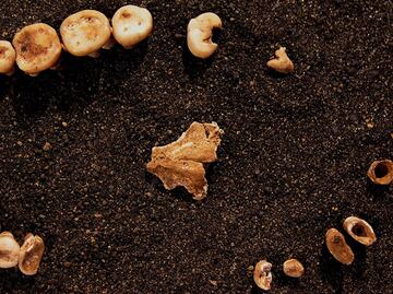 University students use dental records for forensic purposes