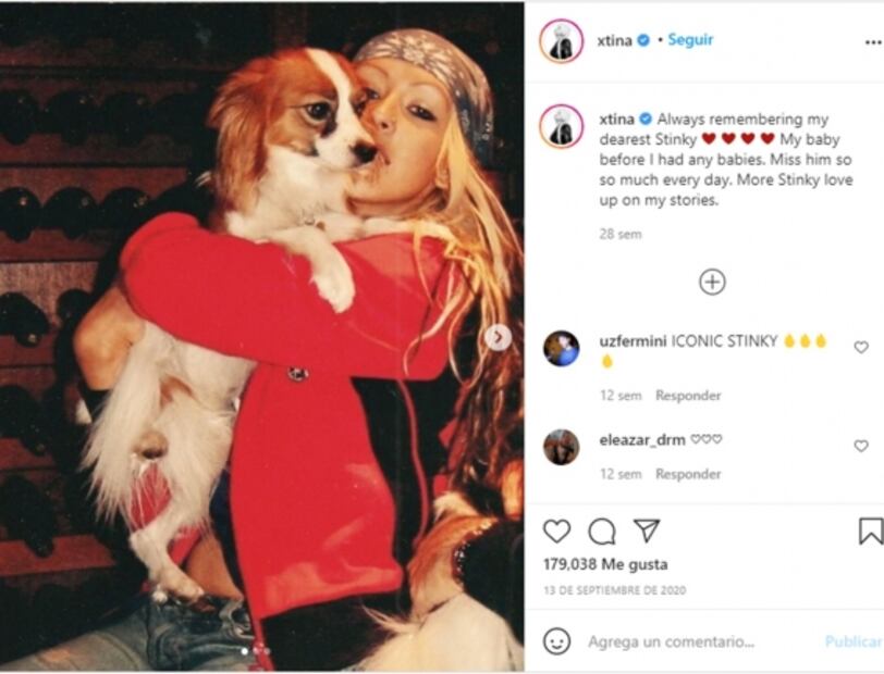Amor y compromiso por los animales, estos famosos hacen todo por ellos