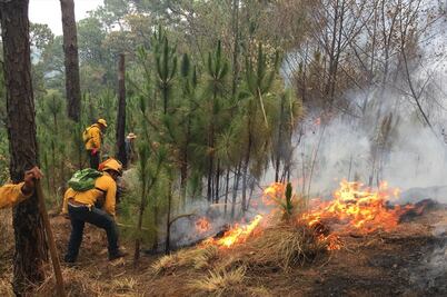 Protección Civil reporta 79 incendios activos en el país