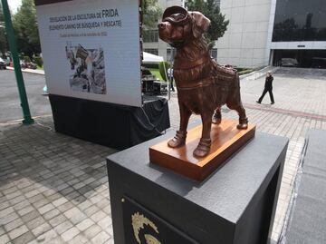 "Gracias Frida": develan escultura de perrita rescatista de la Secretaría de Marina