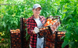 ¿Te irás a vivir a Estados Unidos si te ofrecieran trabajo legal? Checa estas oportunidades