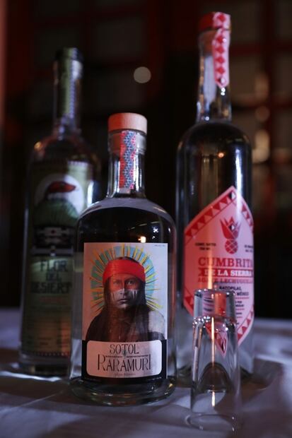 Sotol, un destilado mexicano por conocer