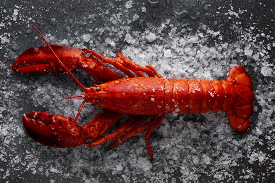 La langosta es un manjar rico en proteínas de alta calidad y bajos en grasa. Foto: Freepik