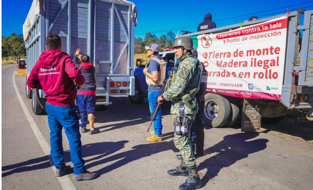 En el operativo participaron la Sedema de la Ciudad de México, a través de la Corenadr en coordinación con diversas autoridades, como la Sedena, Guardia Nacional, la SSC y la Profepa. Foto: especial