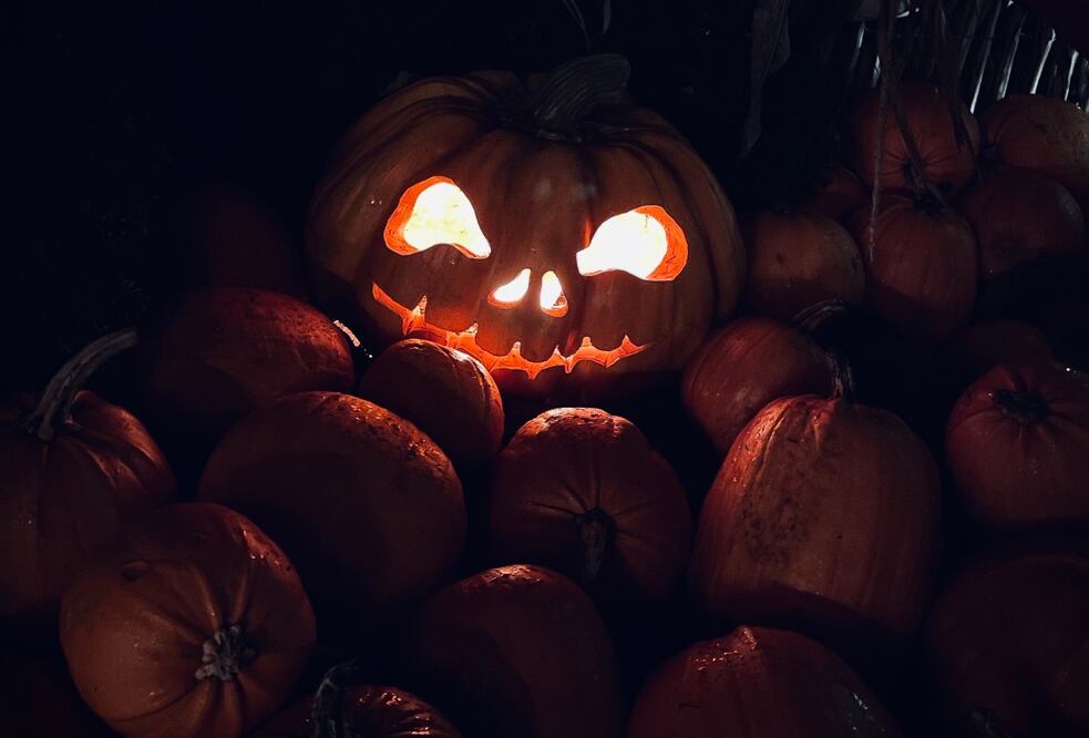 Vinos, música, concurso de disfraces y más en este evento de Viñedos la Redonda. Foto: Emilia Willberg. Unsplash