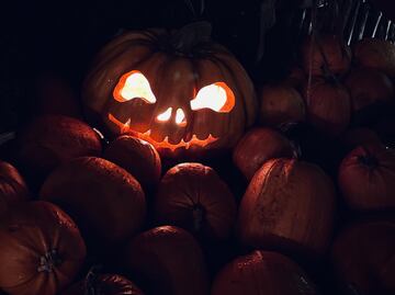 Lánzate al Halloween de Viñedos La Redonda en Querétaro