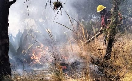 Hidalgo ha registrado 87 incendios forestales en lo que va del año; tres siniestros permanecen activos