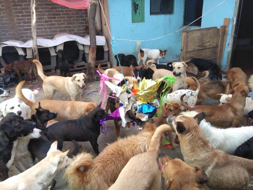 Foto: tomada de Facebook