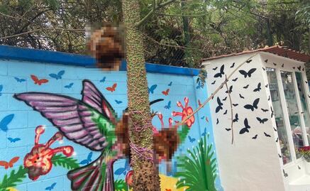 Empalan a tres gallinas en un árbol; vecinos piden a autoridades atender el caso