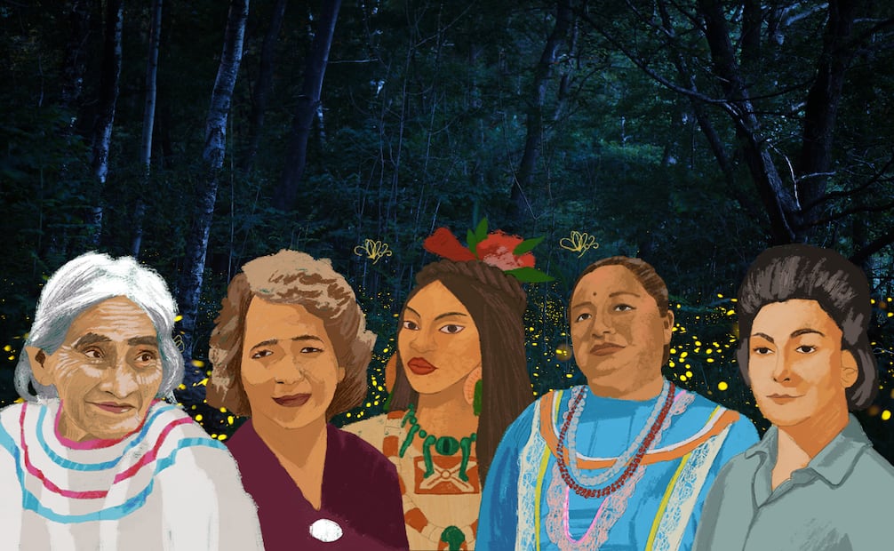 Buscan nombre para nueva especie de luciérnaga descubierta en Chapultepec, así puedes participar. Foto: Plaza Pública (Mujeres mexicanas que nos iluminan).