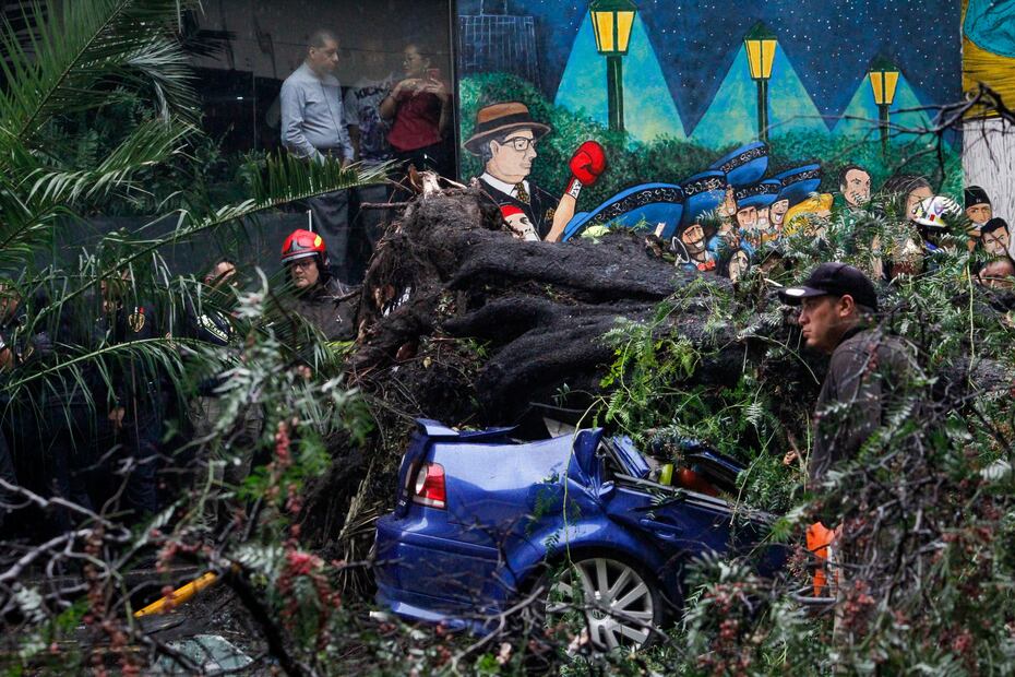 Fuertes lluvias provocan caída de un árbol de gran magnitud, ocasionando el fallecimiento de una mujer y el rescate con vida de un menor; el incidente ocurrió entre las calles Filadelfia y Dakota de la colonia Nápoles en la alcaldía Benito Juárez. Foto: Luis Camacho/ El Universal