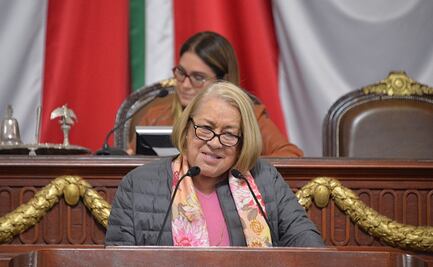 Aprueban facilitar acceso a la información en portales web de dependencias locales