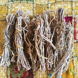 Descubre la raíz de oro y su poder analgésico 