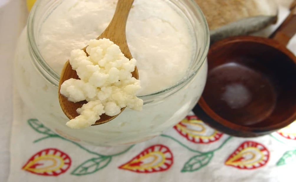 La leche de búlgaros tiene una consistencia parecida al yogurt. Foto: Wikimedia Commons.