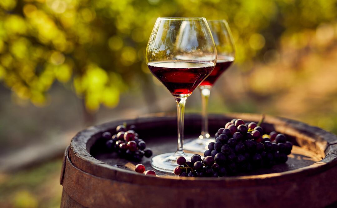 La DO Cebreros, creada en 2017, ha emergido en el panorama vitivinícola español como una de las regiones más prometedoras y dinámicas. Foto: Especial