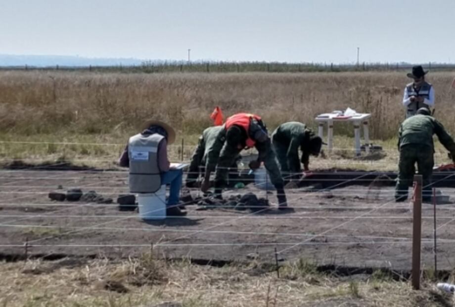 Hallan 70 mamuts en base aérea de Santa Lucía