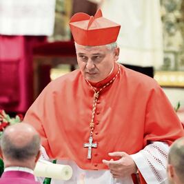 Gobierno italiano cuestiona a cardenal