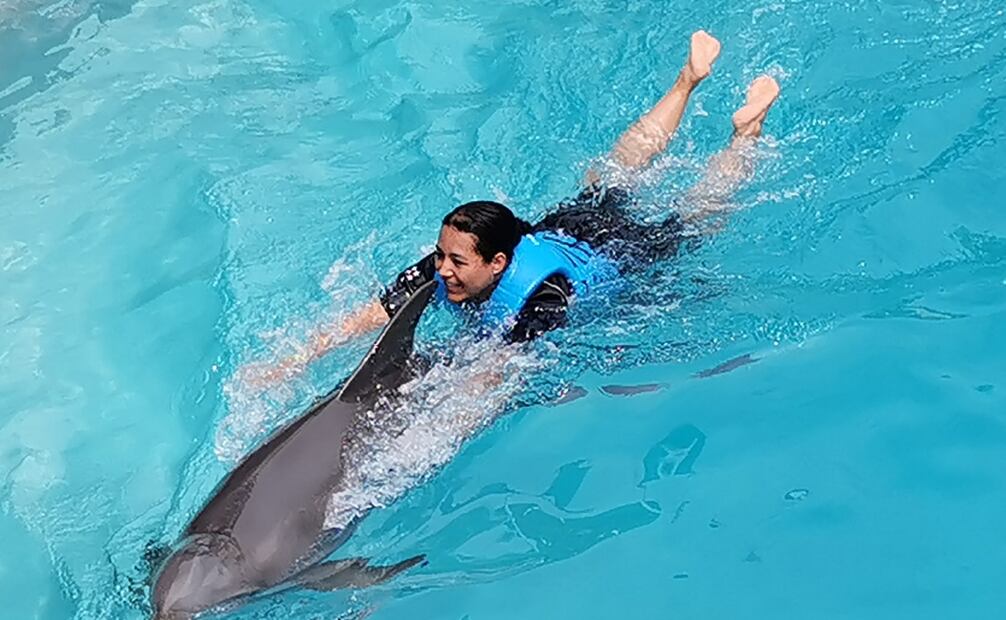 Profepa respalda propuesta que prohíbe operación de delfinarios en México; “es una práctica que ya no podría prevalecer” Foto: Adriana Varillas