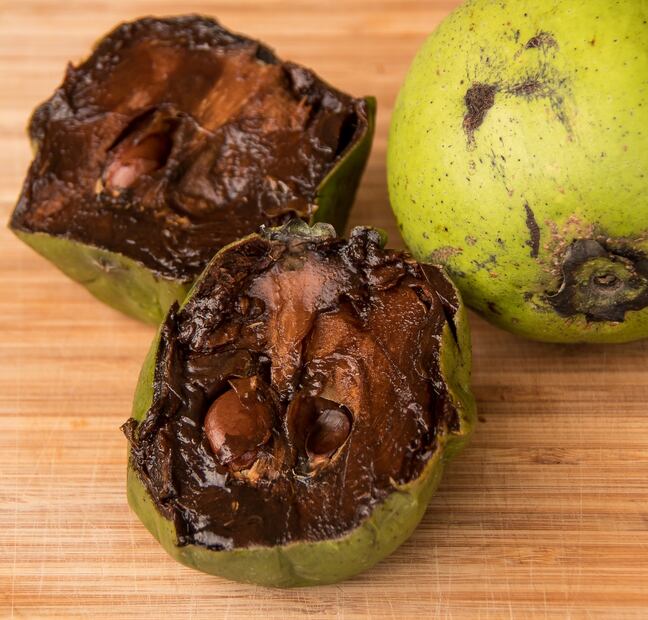 Nutriólogos recomiendan el consumo de zapote negro por su alto contenido en fibra y vitamina C. Foto: Pixabay / Sandid