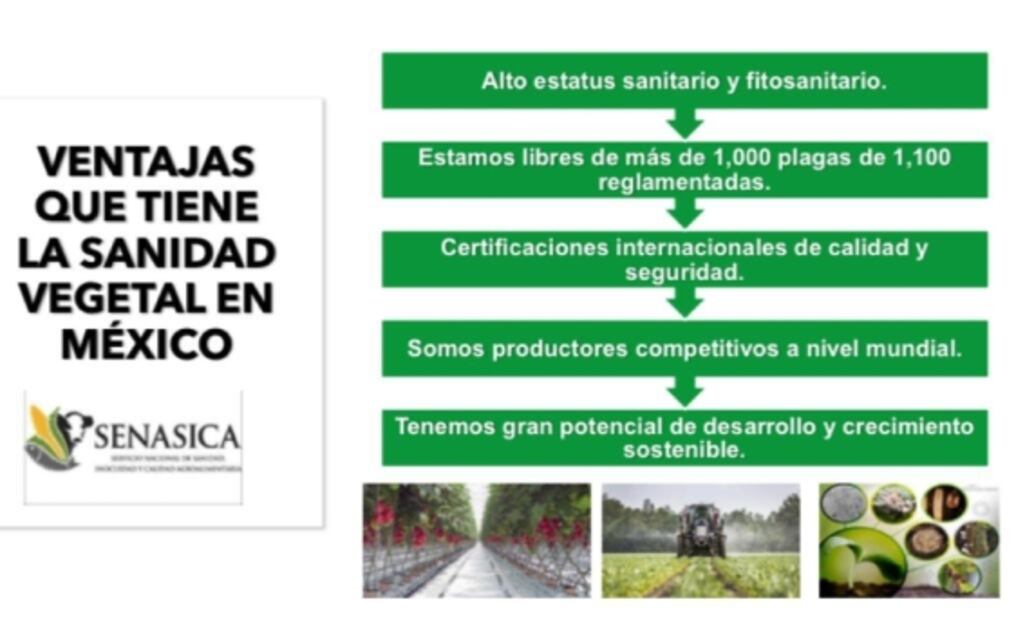 Para aumentar producción y exportación agrícola, necesario más presupuesto a sanidad e inocuidad: CNA 