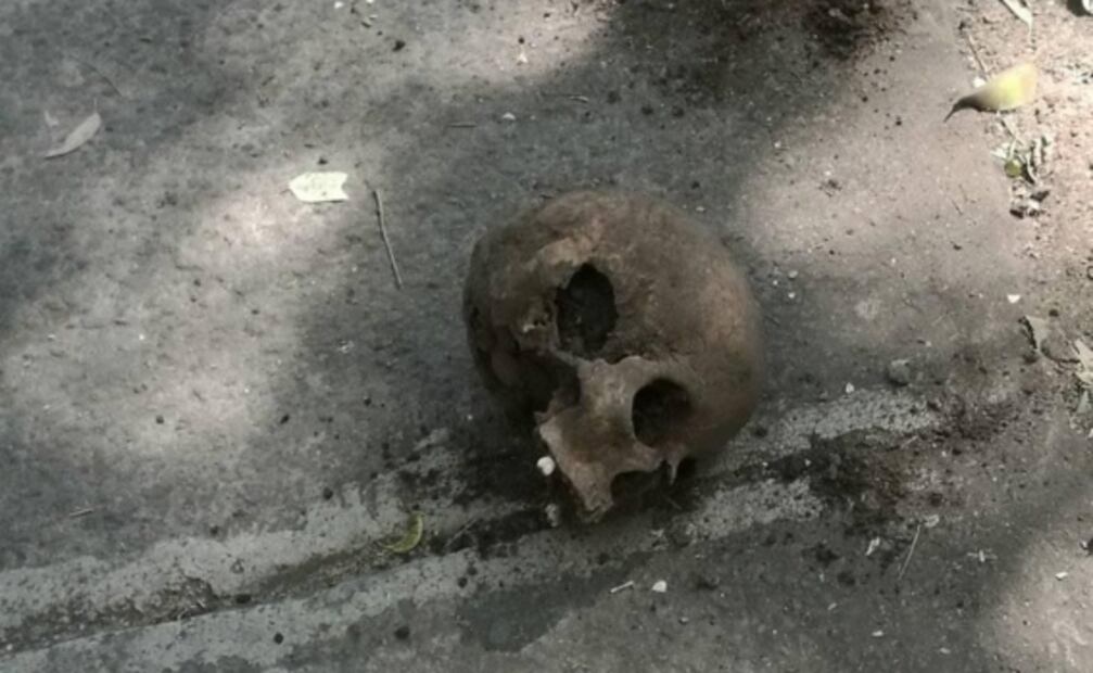 Hallan cráneo enterrado en vía pública en Tlalpan  
