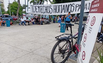 “Ajenos a colectivos venden marihuana en espacios 420”