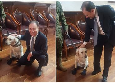 Alfonso Durazo presume que conoció a la perrita “Frida”