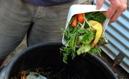 Con desperdicios de alimentos buscan erradicar el hambre en el país