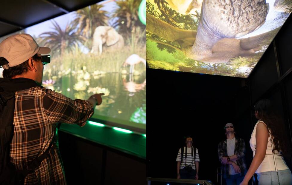 Fotos: Hologram Zoo