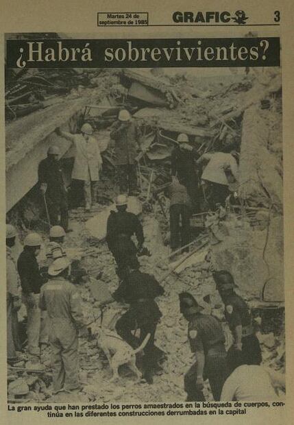 Antes de Frida: los héroes caninos del 85