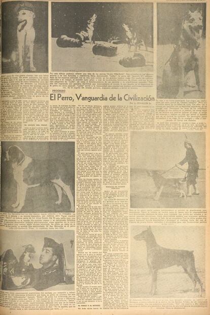 Los primeros perros lazarillos