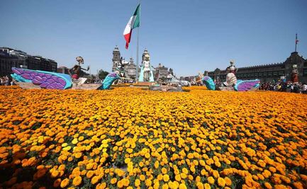 Mega Ofrenda del Zócalo luce tapete monumental de cempasúchil; son más de 100 mil ¿están a la venta?