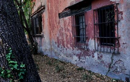 FOTOS: Así es la casa donde vivió Carlos Fuentes propuesta para ser museo del Boom Latinoamericano