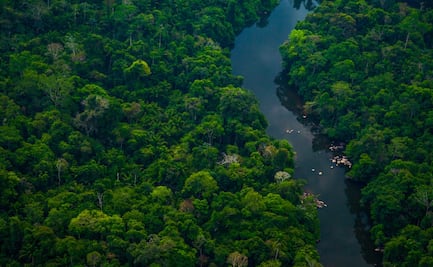 La historia del explorador famoso que desapareció sin dejar rastro en la selva amazónica